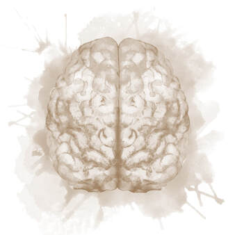 Artistic painterly rendition of a brain in neutral tones