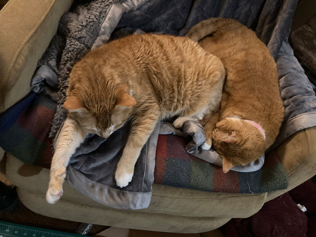 Two adorable orange & white cats snuggled on some blankets on a comfy chair. 