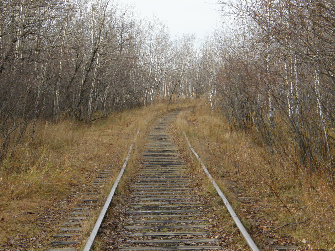 Image of railroad tracks partly overgrown with weeds and grass.